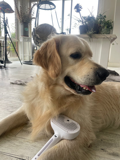 Soft Grooming Steam Brush